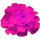 �����̐_�lDX
